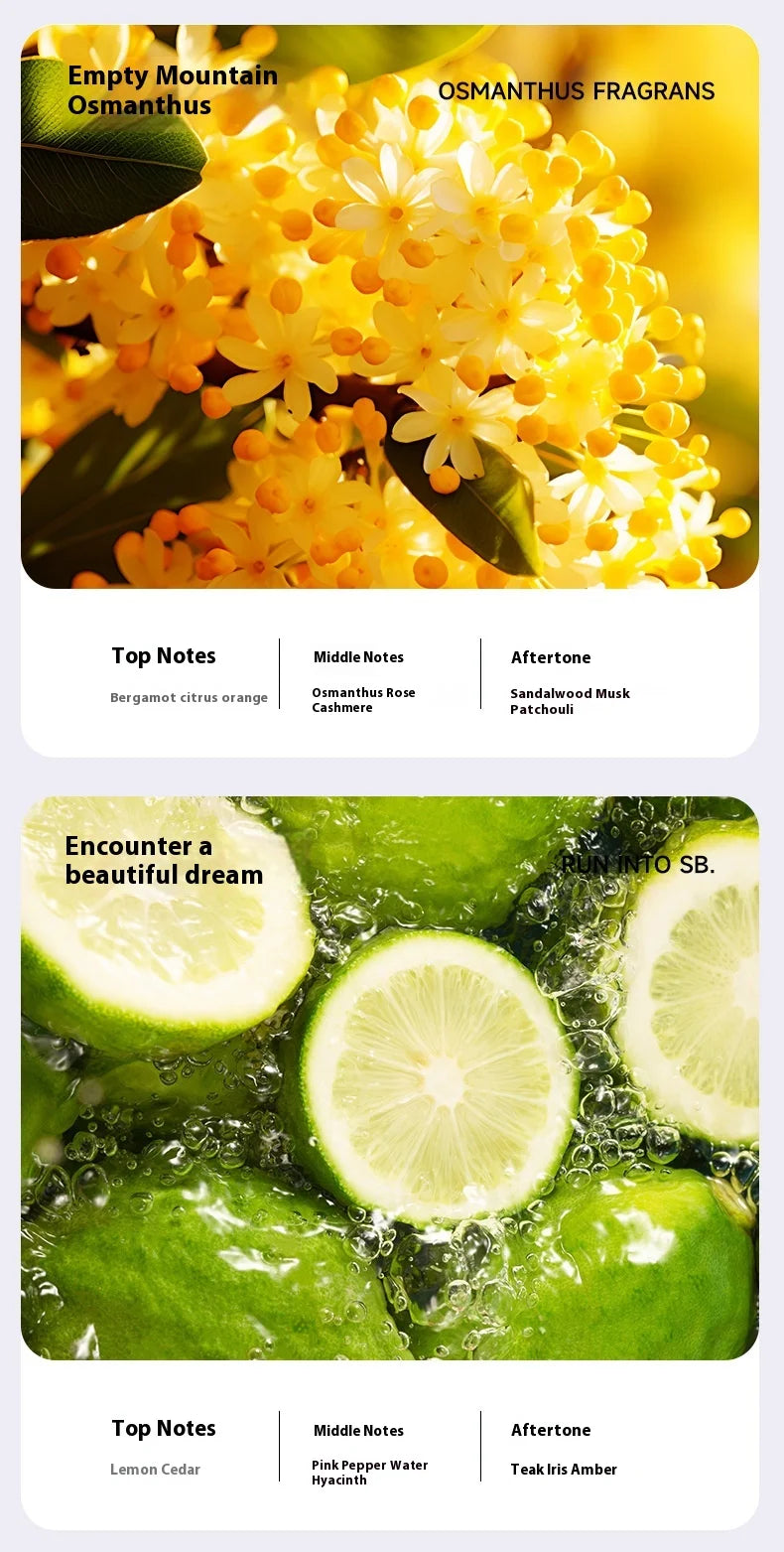 LOY Smart App-Controlled Aromatherapy Machine for intelligent scenting, showcasing sleek design and control panel.