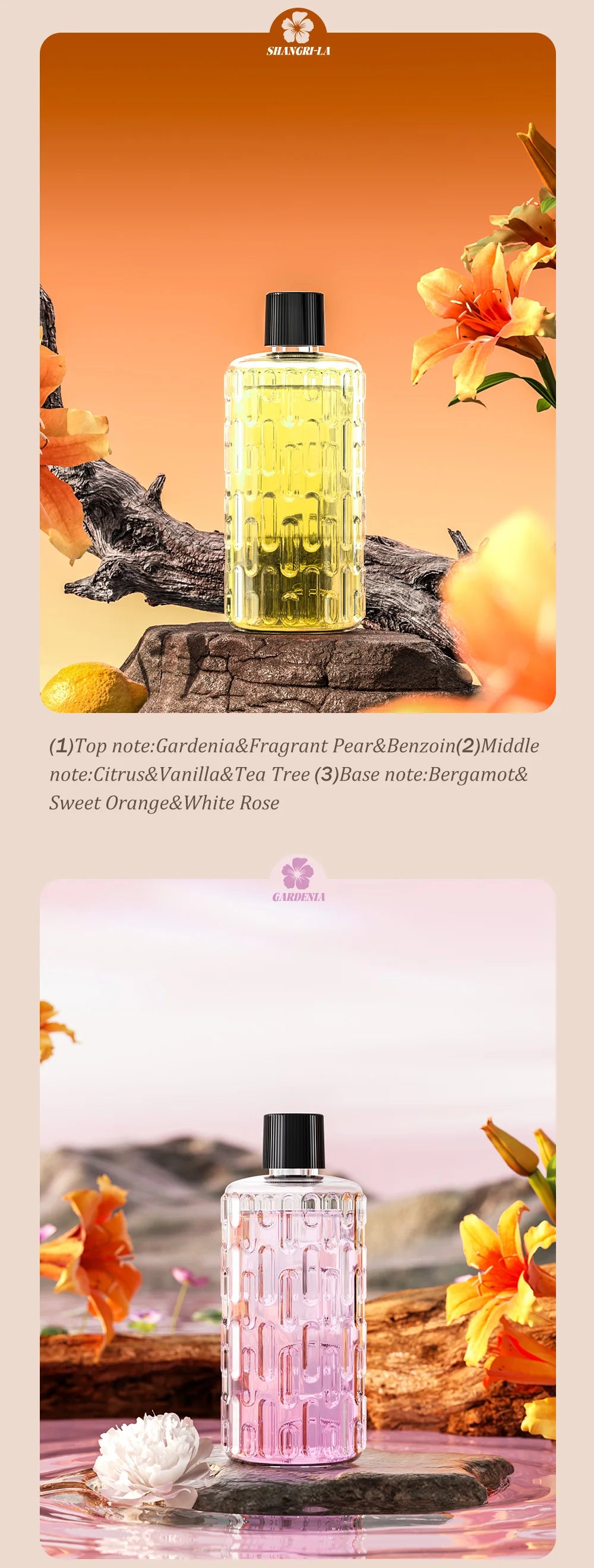 LOY Automatic Aromatherapy Diffuser emitting mist with LED lights, designed for home fragrance and relaxation.